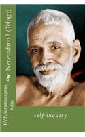 Nenevadanu ? (Telugu)