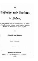 Der Aufruhr und Umsturz in Baden: (German)
