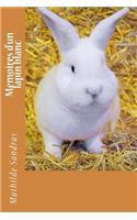 Memoires d'un lapin blanc