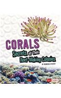 Amazing Animal Colonies Corals Secrets of Their Reef-Making Colonies