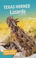 Unique Animal Adaptations Texas Horned Lizards