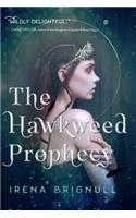 Hawkweed Prophecy