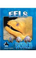 Eels