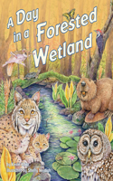 Day in a Forested Wetland