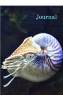 Journal
