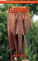 Elephant: Amazing Pictures & Fun Facts for Kids