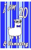 I AM 20 and LLamazing boys journal
