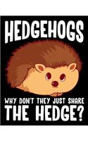 Hedgehogs Why Don't They Just Share The Hedge?