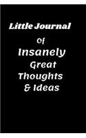 Little Journal of Insanely Great Thoughts & Ideas