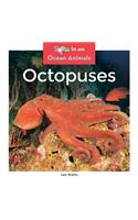 Octopuses