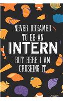 Never Dreamed To Be an Intern But Here I Am Crushing It