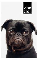 Pug Dog Calendar Week Planner 2020 / 2021 - Sad Look: Pup Puppy Doggie Pet Owner Weekly Bullet Journal Notebook Diary in 6" x 9" Inch Pocket Size