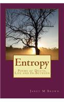 Entropy