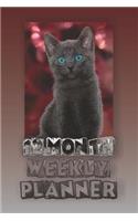 12 Month Weekly Planner: 1 Year Daily Monthly Planner, Undated Start Anytime, Cover Has Picture of Gray Cat with Beautiful Blue Eyes.