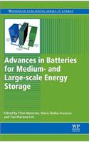Advances in Batteries for Medium and Large-Scale Energy Storage