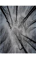 Tree Branches Notebook