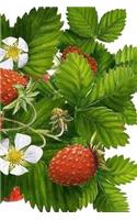 Strawberries Notebook