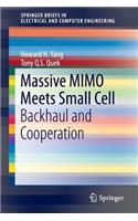 Massive Mimo Meets Small Cell