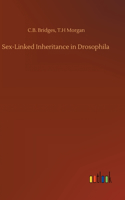 Sex-Linked Inheritance in Drosophila