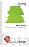 Pinus Taeda: (English)
