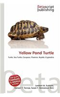 Yellow Pond Turtle