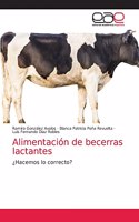 Alimentación de becerras lactantes