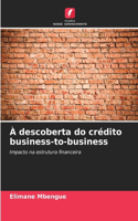À descoberta do crédito business-to-business
