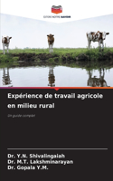Expérience de travail agricole en milieu rural