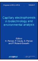 Capillary Electrophoresis in Biotechnology and Environmental Analysis