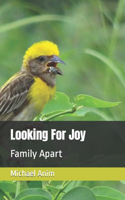 Looking For Joy