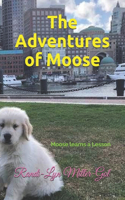 Adventures of Moose