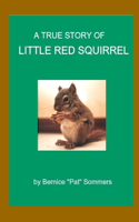 True Story of Little Red Squirrel