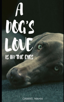 Dog's Love Is In The Eyes