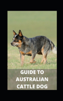 Guide to Australian Cattle Dog