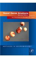 Yeast Gene Analysis