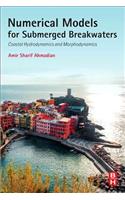 Numerical Models for Submerged Breakwaters