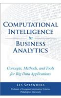 Computational Intelligence in Business Analytics: Concepts, Methods, and Tools for Big Data Applications(FT Press Analytics)