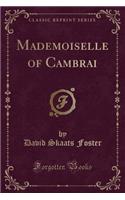 Mademoiselle of Cambrai (Classic Reprint)