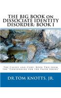 BIG BOOK on DISSOCIATE IDENTITY DISORDER