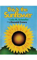 This is the Sunflower