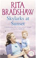 Skylarks At Sunset: An unforgettable saga of love, family and hope
