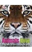 Animals Alive