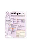 Understanding Menopause Anatomical Chart