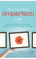 It's a Wonderful (Imperfect) Life