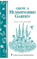 Grow a Hummingbird Garden