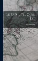 Le Brésil Tel Qu'il Est