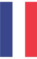 France Flag Notebook - French Flag Book - France Travel Journal: Medium College-Ruled Journey Diary, 110 page, Lined, 6x9 (15.2 x 22.9 cm)