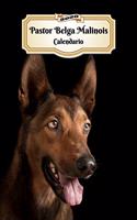 2020 Pastor Belga Malinois Calendario: 107 Páginas Tamaño A5 Planificador Semanal 12 Meses 1 Semana en 2 Páginas Agenda Semana Vista Tapa Blanda Perro