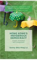 Hong Kong's Indigenous Democracy