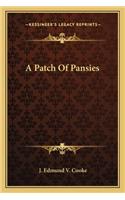 A Patch Of Pansies: (English)